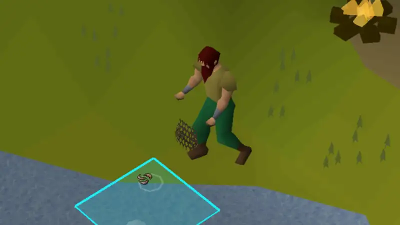Old School RuneScape fishing spot
