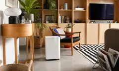Why Running a Dehumidifier All Day Fails to Keep Rooms Dry: Key Placement and Efficiency Rules