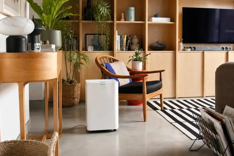 Why Running a Dehumidifier All Day Fails to Keep Rooms Dry: Key Placement and Efficiency Rules