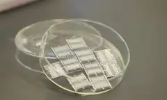 Beyond the Silicon Bubble: How a New Hybrid Solar Breakthrough Could Salvage the Green Transition